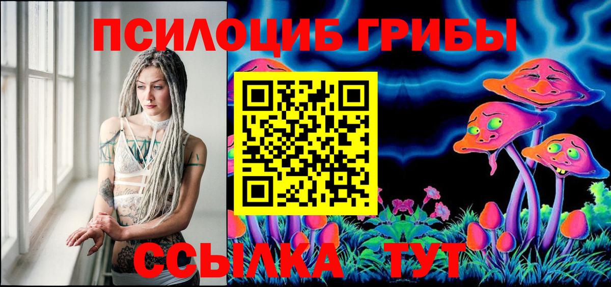 Киреевск  Галлюциногенные грибы Psilocybine cubensis  Вход с VPN 